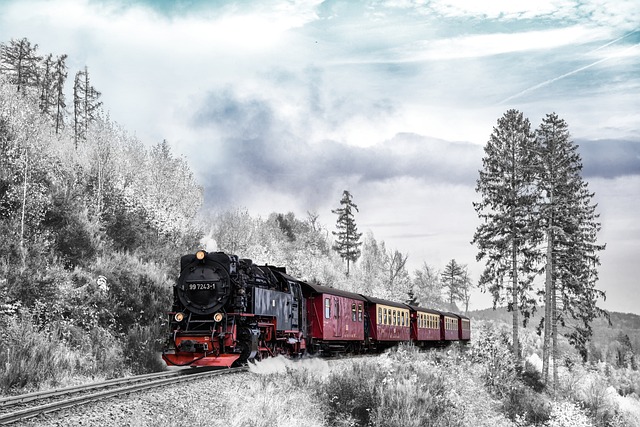vlak v zimě
